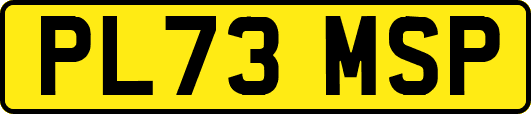 PL73MSP