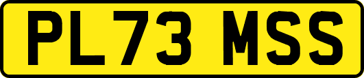PL73MSS