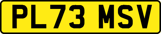 PL73MSV