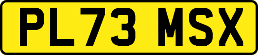 PL73MSX