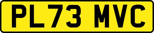 PL73MVC