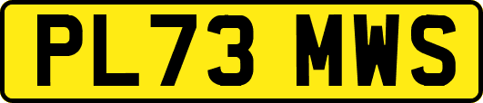 PL73MWS