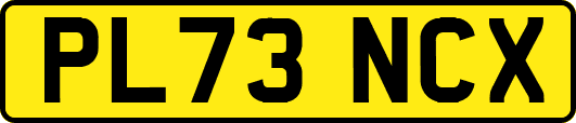 PL73NCX