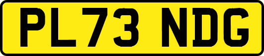 PL73NDG