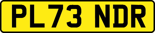 PL73NDR