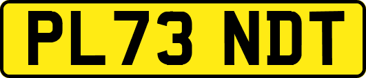 PL73NDT