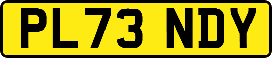 PL73NDY