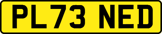 PL73NED