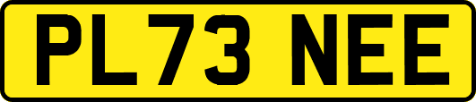 PL73NEE