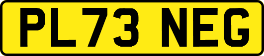 PL73NEG