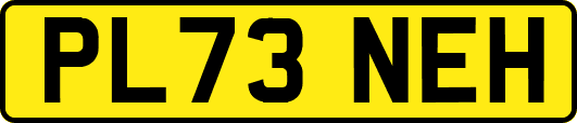 PL73NEH