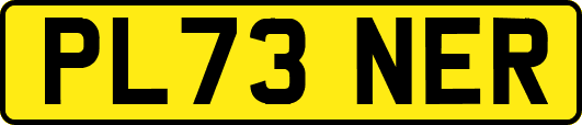 PL73NER