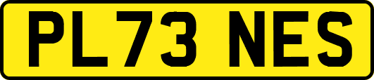 PL73NES