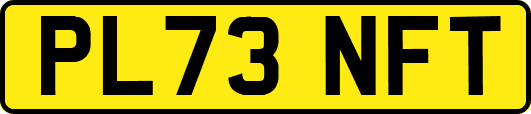 PL73NFT