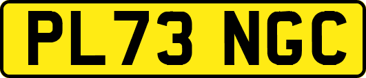 PL73NGC