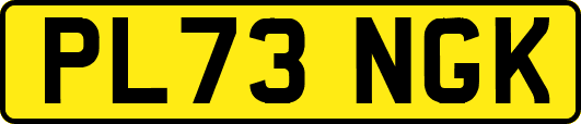 PL73NGK