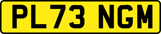 PL73NGM