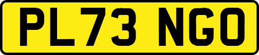 PL73NGO