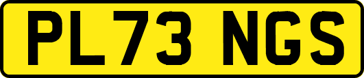 PL73NGS