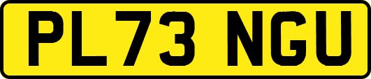 PL73NGU