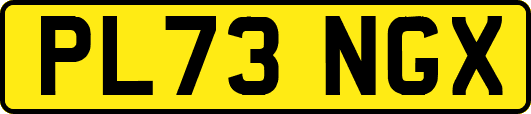 PL73NGX