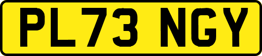 PL73NGY