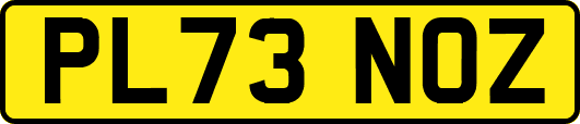 PL73NOZ