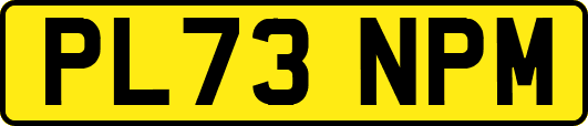 PL73NPM