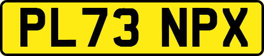 PL73NPX