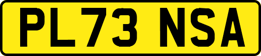 PL73NSA