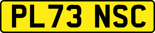 PL73NSC