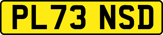 PL73NSD