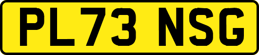 PL73NSG