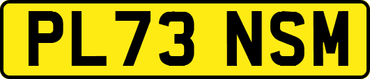 PL73NSM
