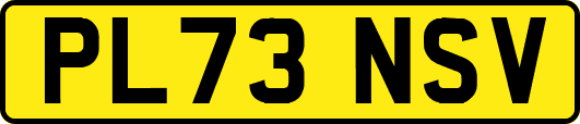 PL73NSV