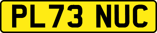 PL73NUC
