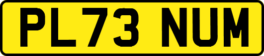 PL73NUM