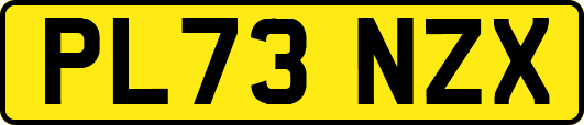 PL73NZX