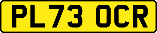 PL73OCR