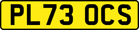 PL73OCS