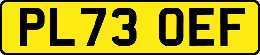 PL73OEF