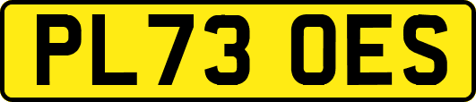 PL73OES
