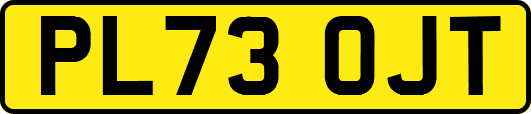 PL73OJT