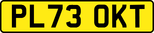 PL73OKT