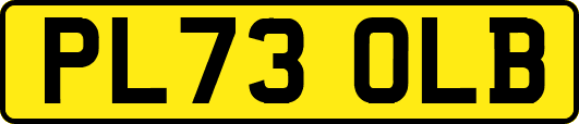 PL73OLB