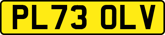 PL73OLV