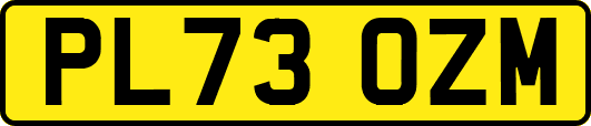PL73OZM