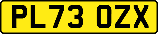 PL73OZX