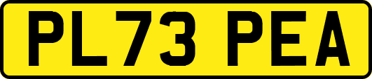 PL73PEA