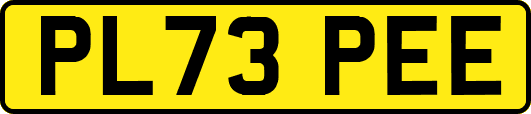 PL73PEE